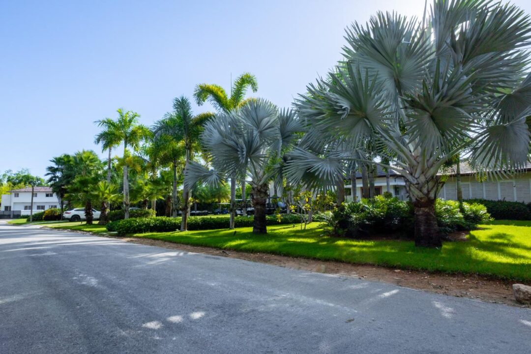 WhatsApp-Image-2026-02-10-at-6.05.59-PM-1